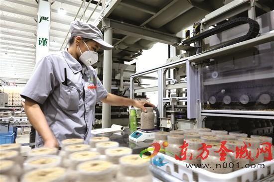 山东友和生物 科技赋能打造食用菌 超级工厂